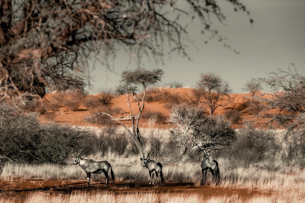 Bagatelle Kalahari Game Ranch Villa Hardap Buitenkant foto