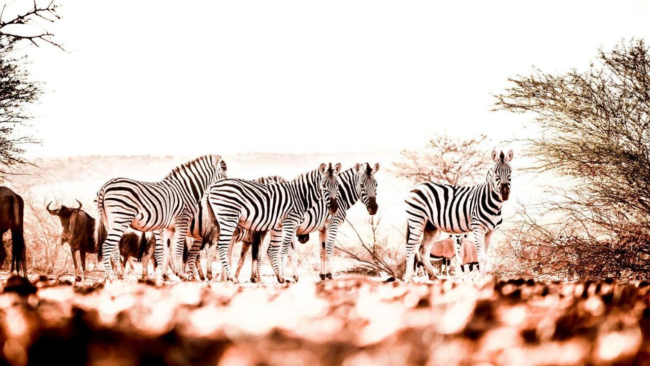 Bagatelle Kalahari Game Ranch Villa Hardap Buitenkant foto