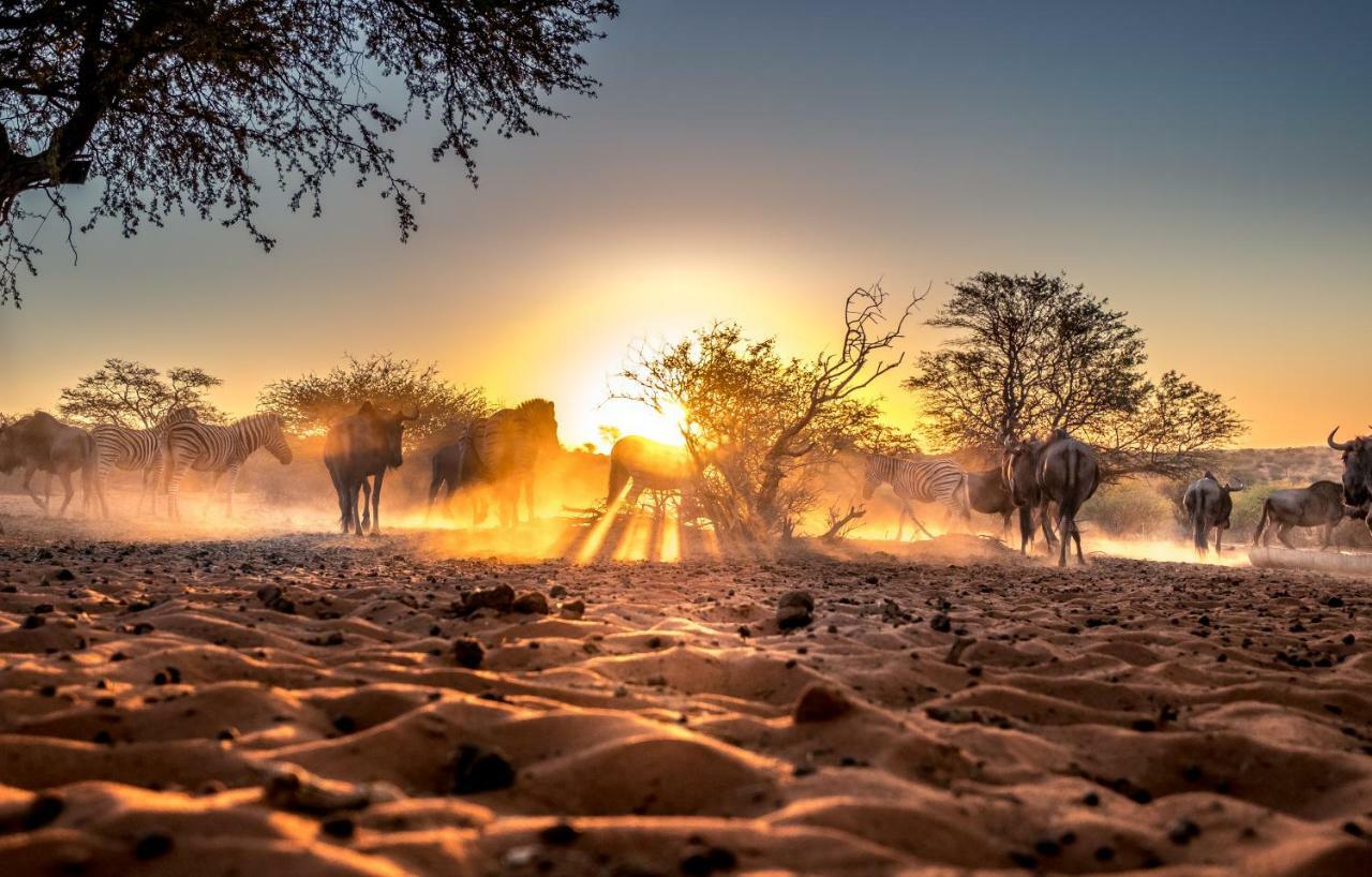Bagatelle Kalahari Game Ranch Villa Hardap Buitenkant foto