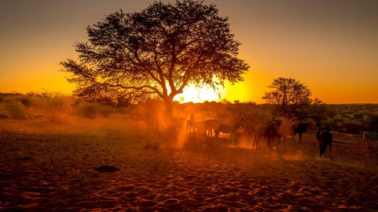Bagatelle Kalahari Game Ranch Villa Hardap Buitenkant foto
