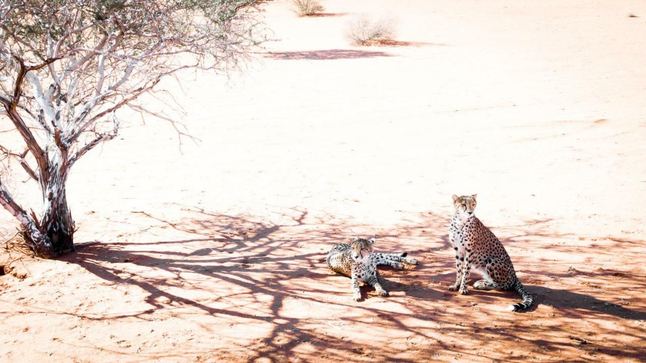 Bagatelle Kalahari Game Ranch Villa Hardap Buitenkant foto